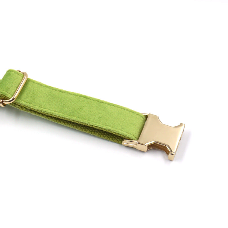 Simple Matcha Green Velvet Dog Collar