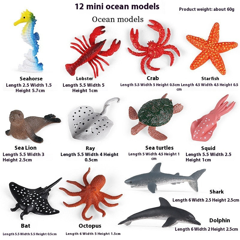 Simulation Marine Animal Model Children's Cognitive Toy