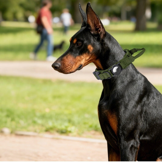 Dog Tactical Positioning Collar, Outdoor Nylon