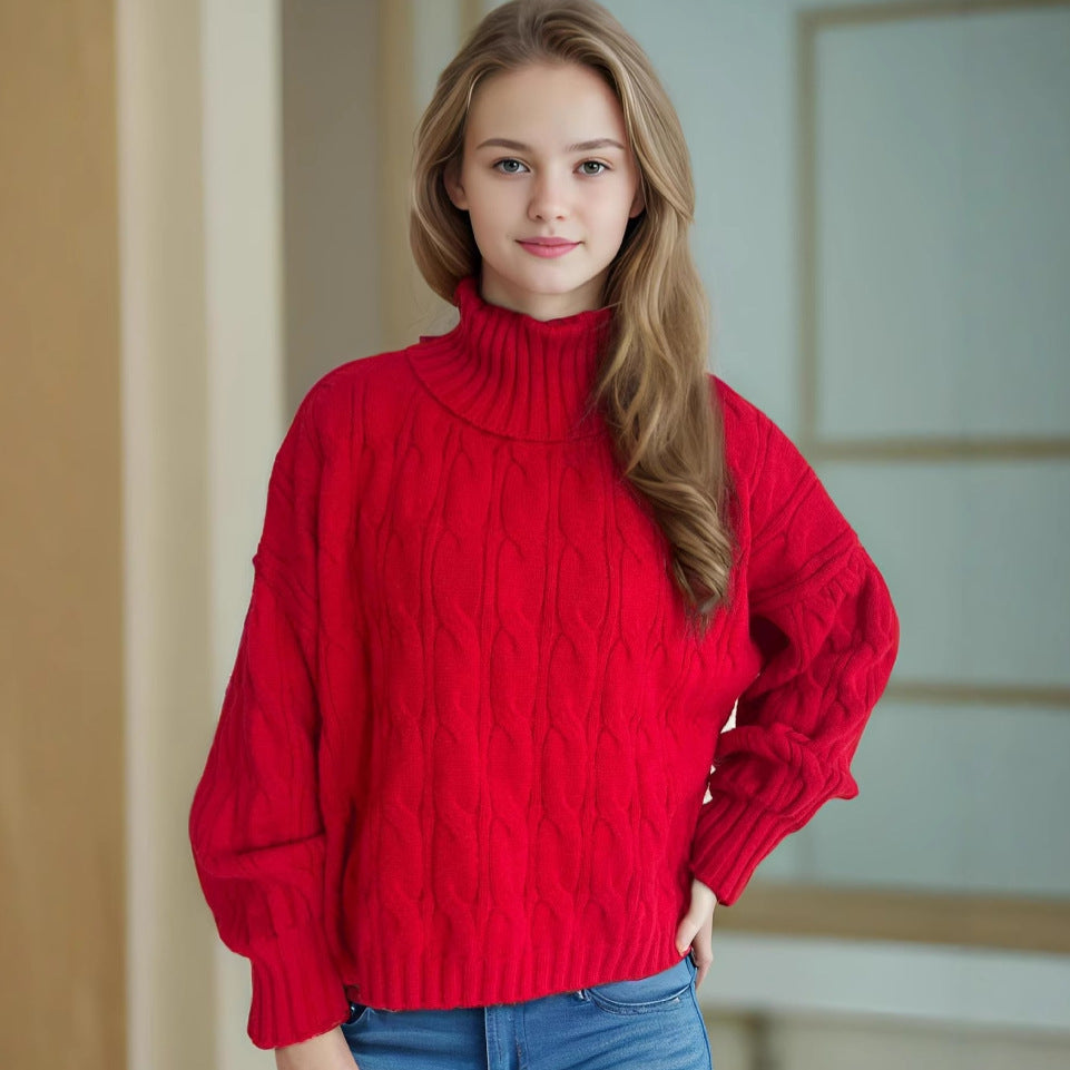 Turtleneck Solid Color Commute Loose Pullover