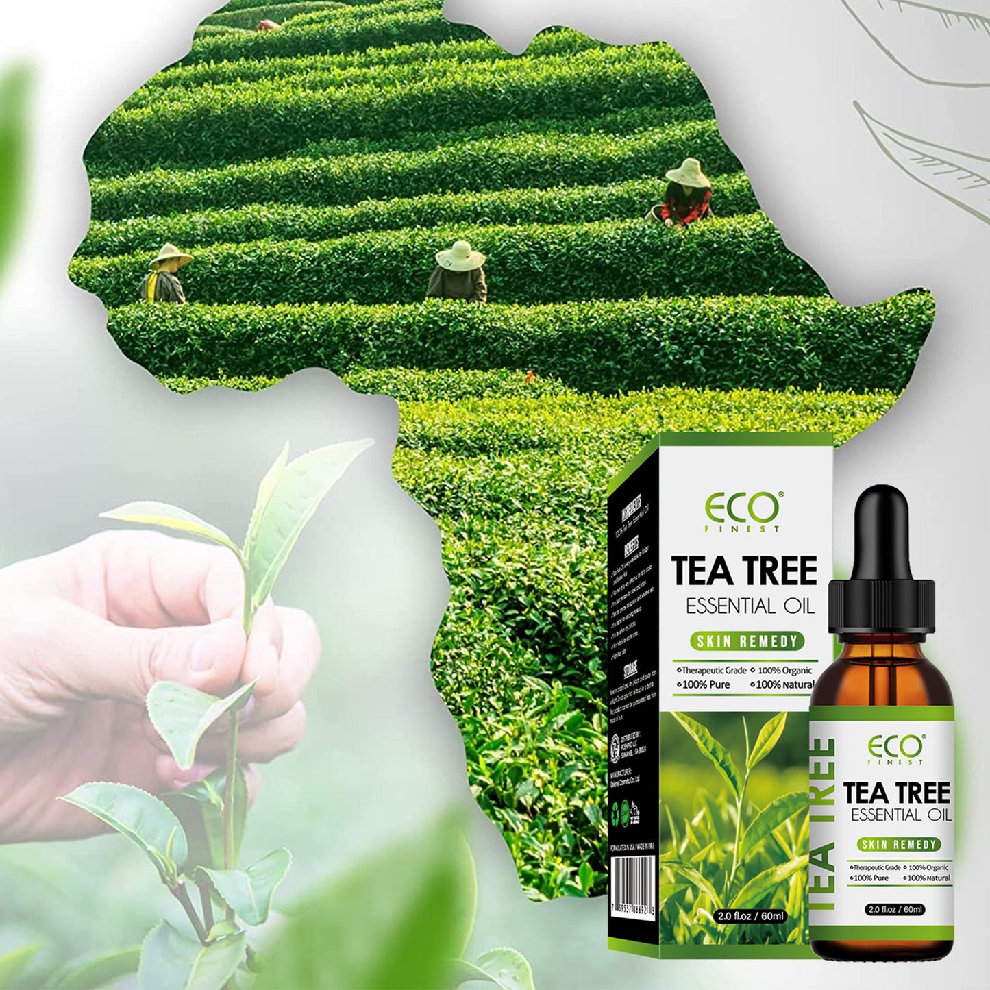 Essential Tea Tree Oil Massage Essential Oil Acne Fade