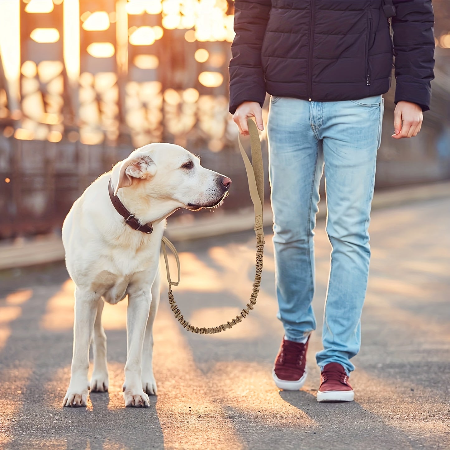 Durable And Safe Retractable Leash For Large Dogs - Anti-burst Technology For Added Security