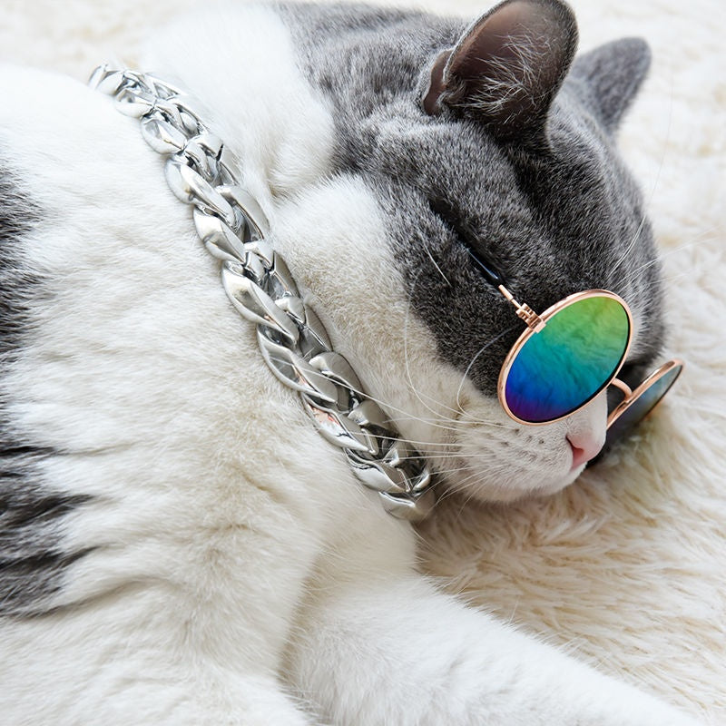 Collar Cat Golden Chain Ornament