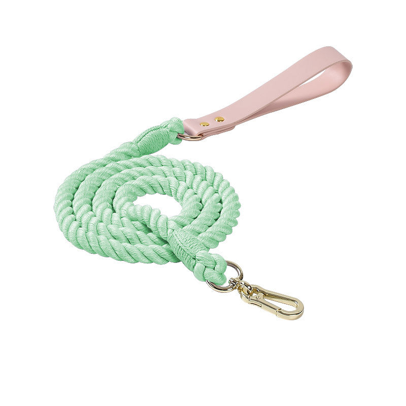Rainbow Traction Rope Collar Adjustable Medium And Large Dog Outing Chain