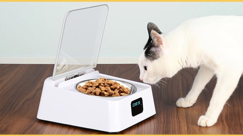 Automatic Switch Moisture-proof Smart Feeder Cat And Dog Bowl