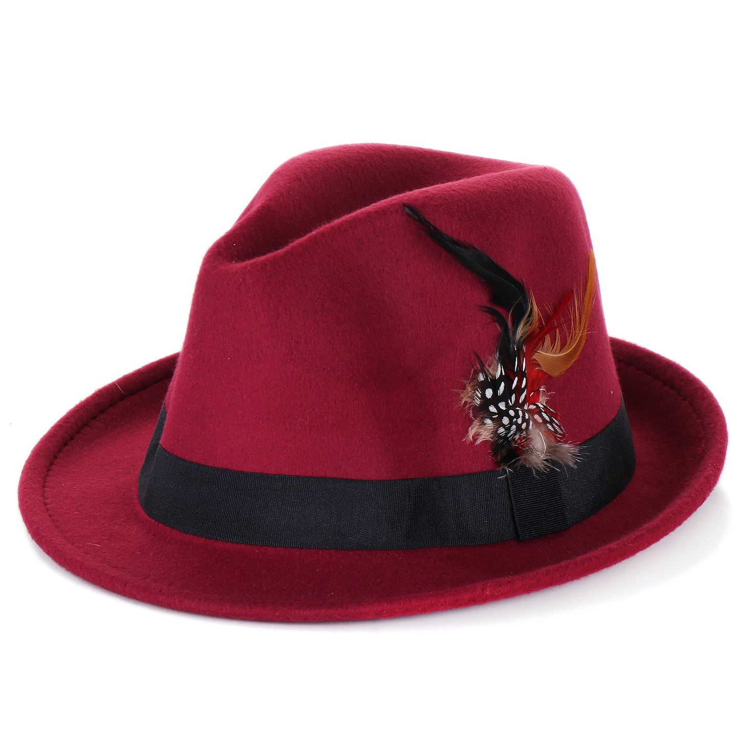 Fashion Men's And Women's Woolen Feather Hat
