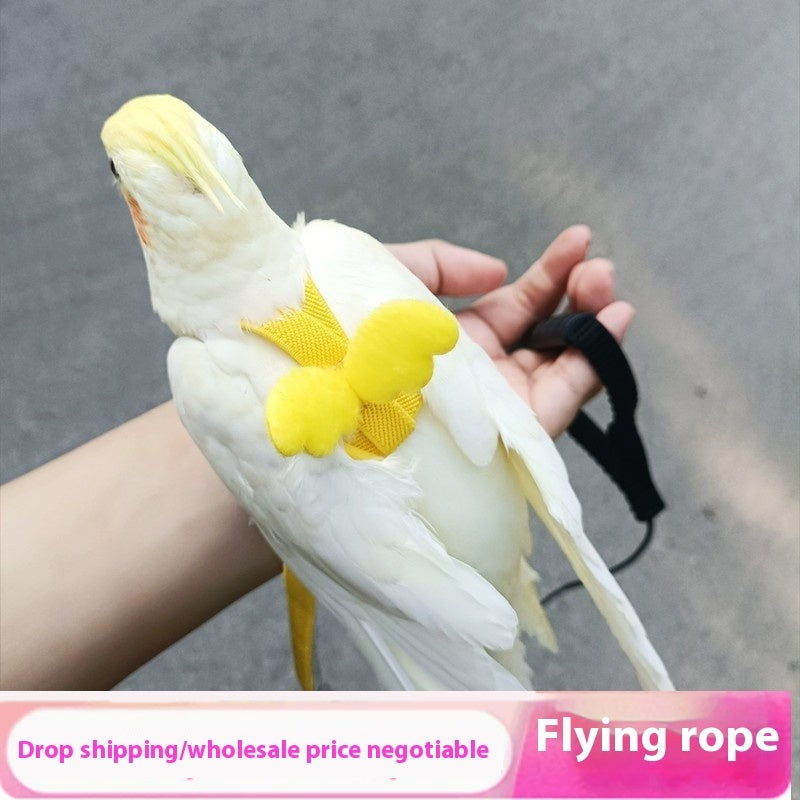 Pet Ultra-light Hand Holding Rope Anti-lost