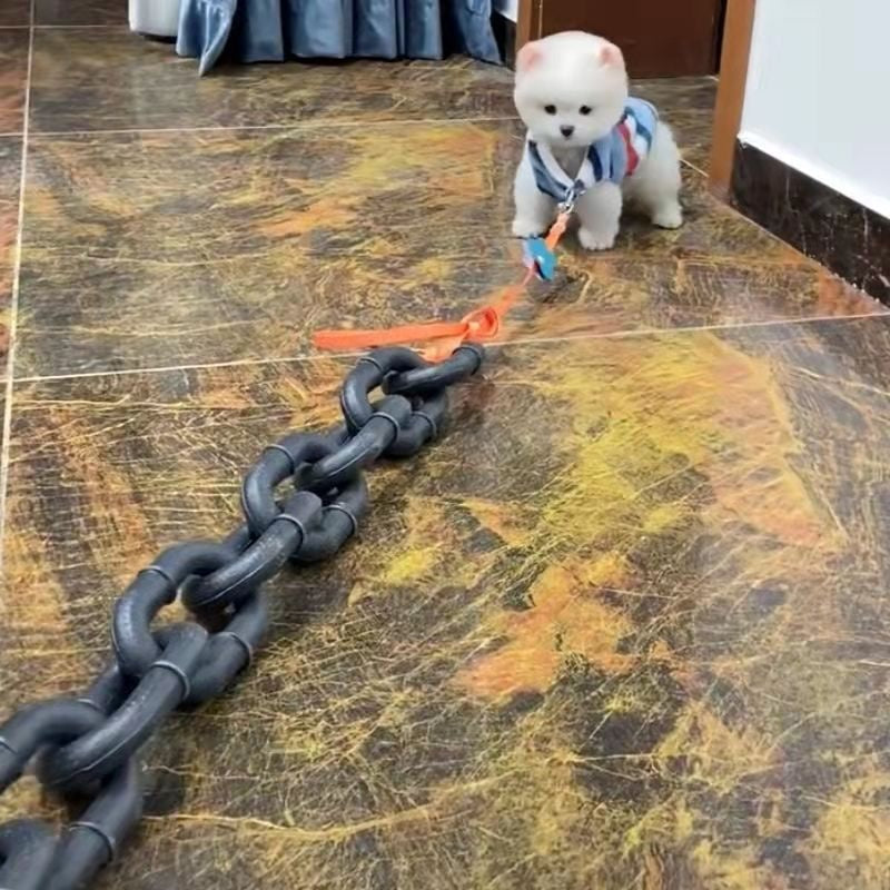 Internet Celebrity Same Style Dog Leash Simulation Rough Spoof Big Shot Video Special Props Walking Hand Holding Rope