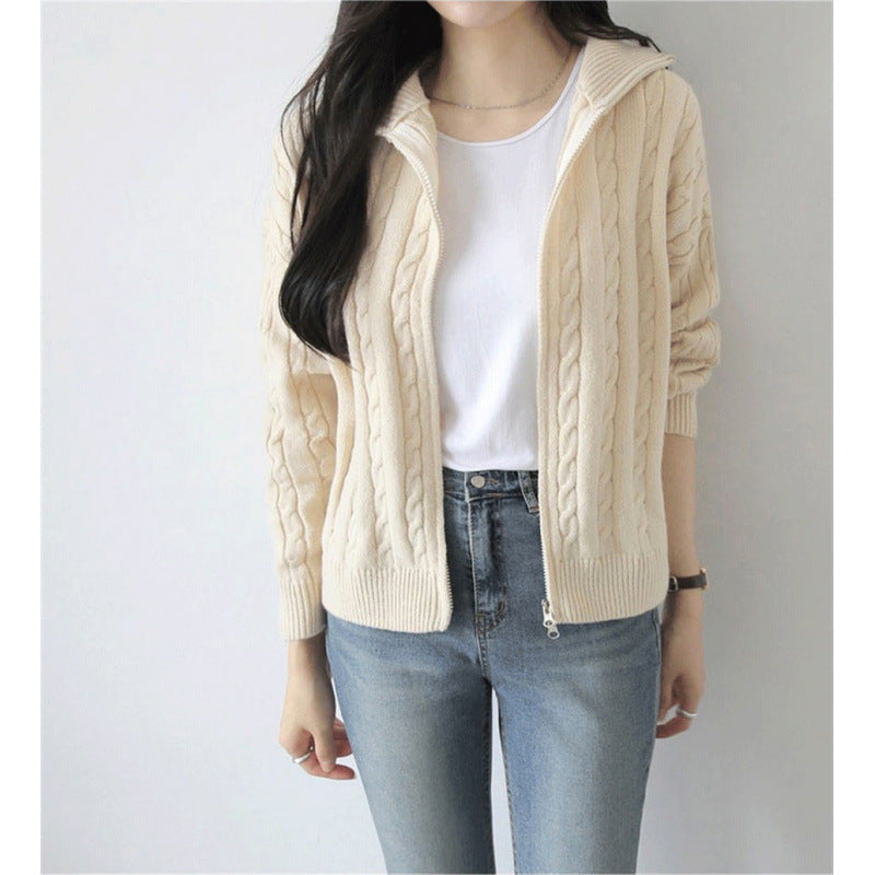 Japanese-style Christmas Cable-knit Sweater Jacket