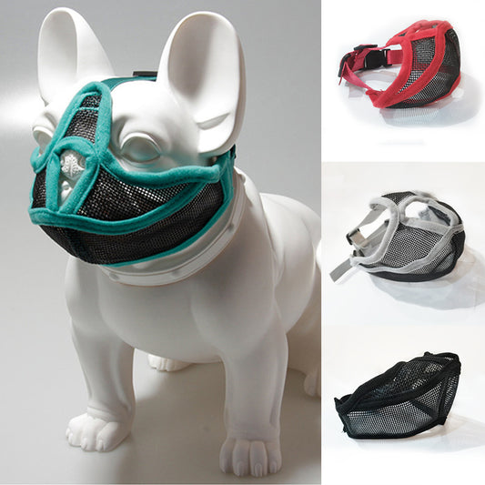 Short-mouthed Dog Cover