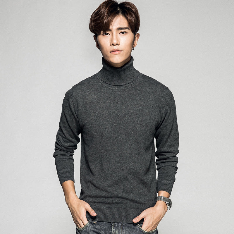 Ensfarvet Langærmet Turtleneck Pullover Mænds Basistrøje