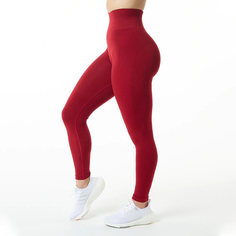 Fashionable New Tight High Waist Sports Pants For Women