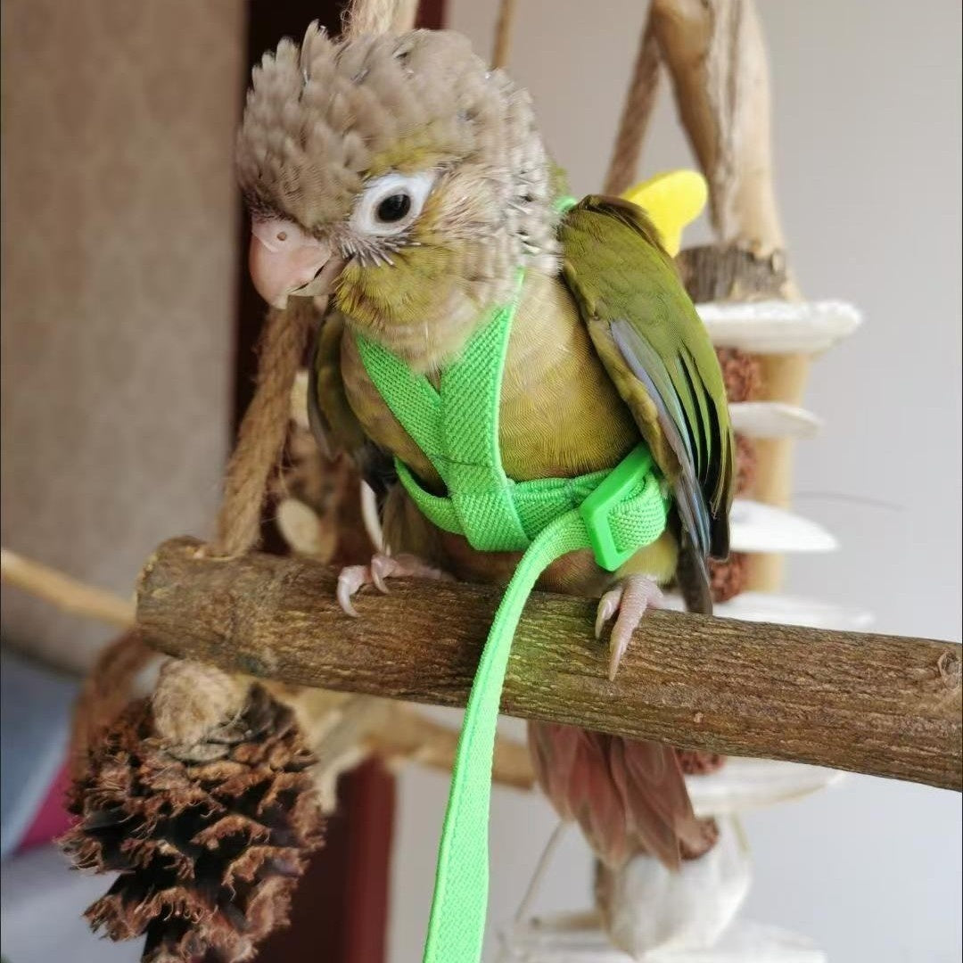 Pet Ultra-light Hand Holding Rope Anti-lost