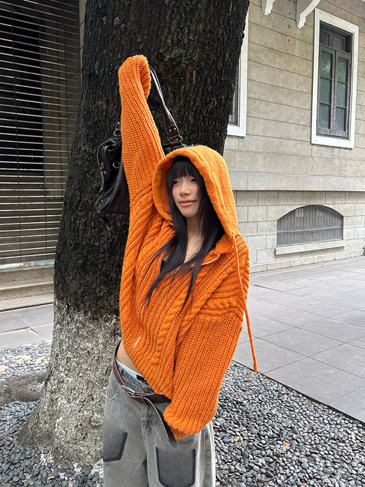 Idle Style Twist Knitted Hooded Sweater
