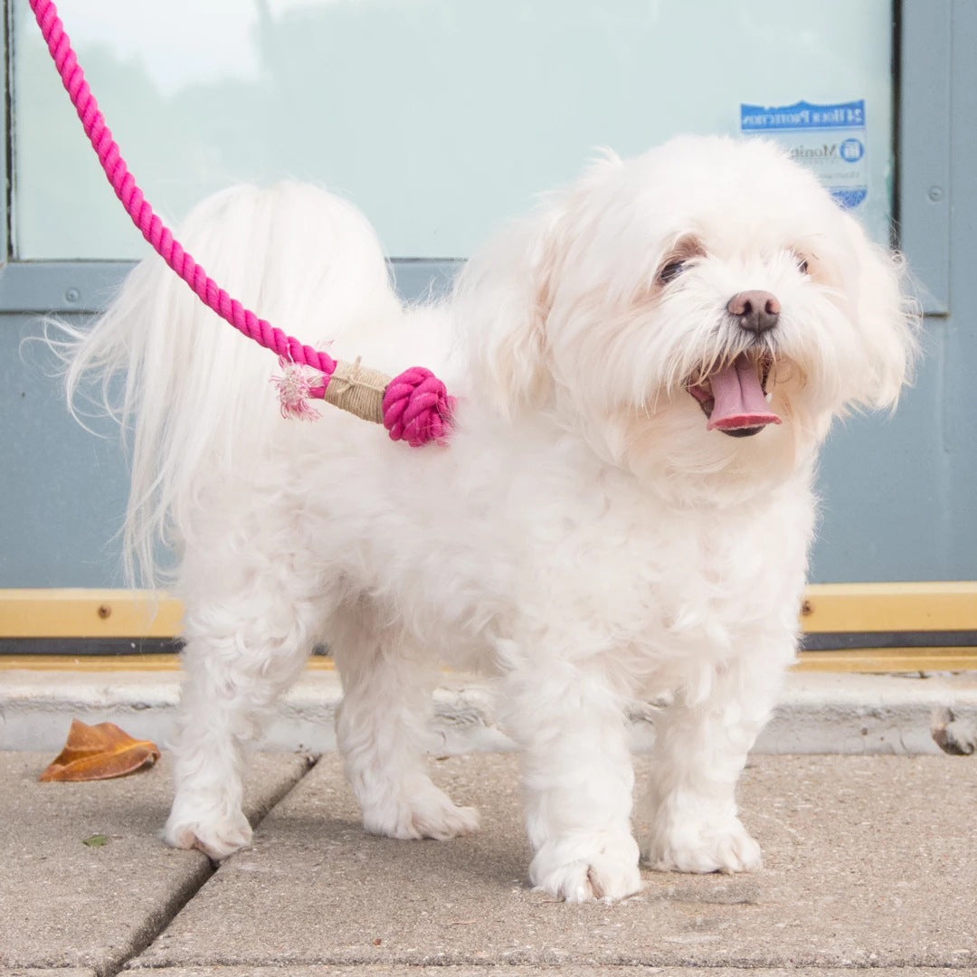 Hand Woven Gradual Pet Traction Rope