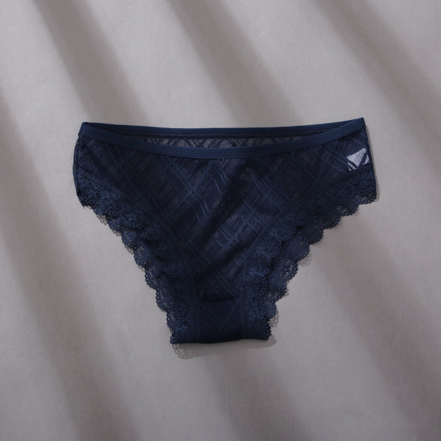 Women's Mesh Lace Trim Panel Briefs