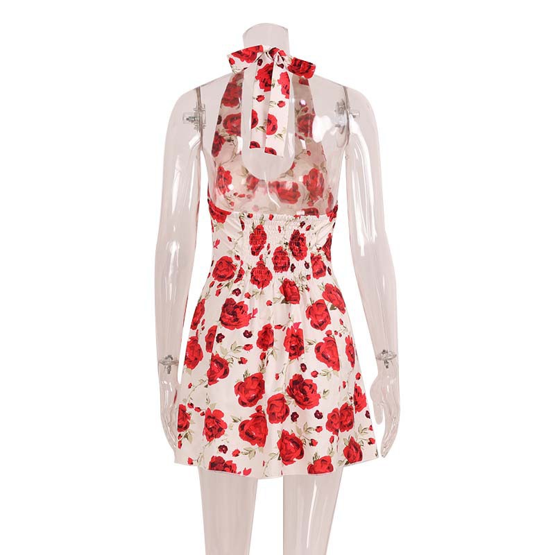 Fashionable Halterneck Backless Dress With A Rose Print