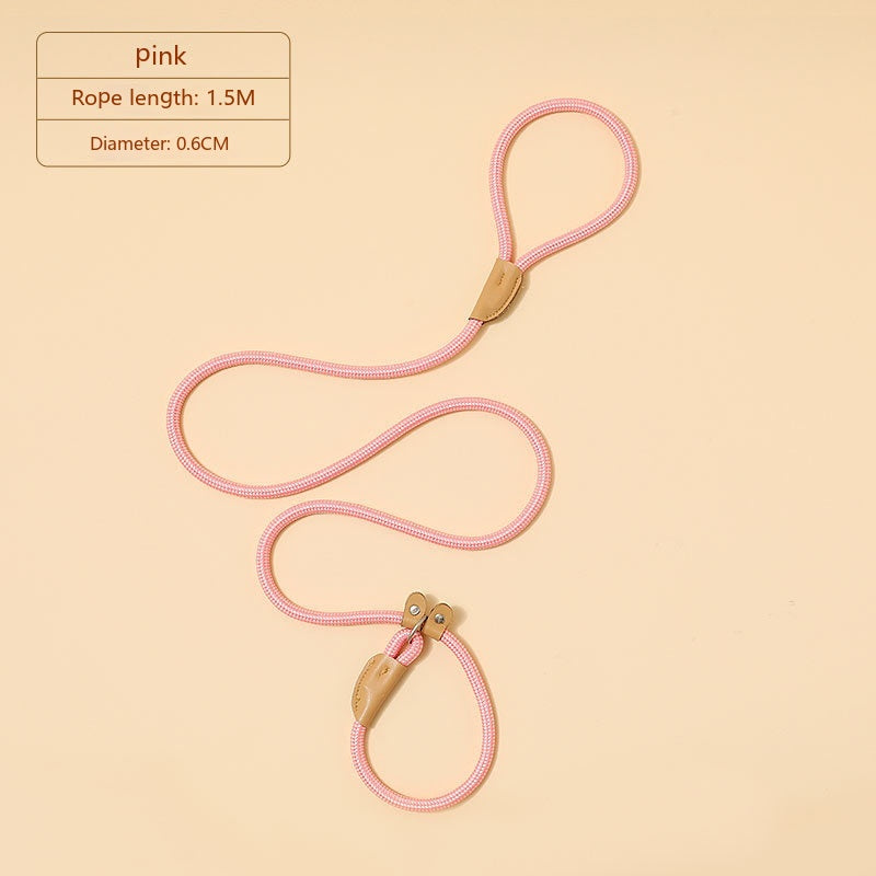 Household Dog Pet Hand Holding Rope
