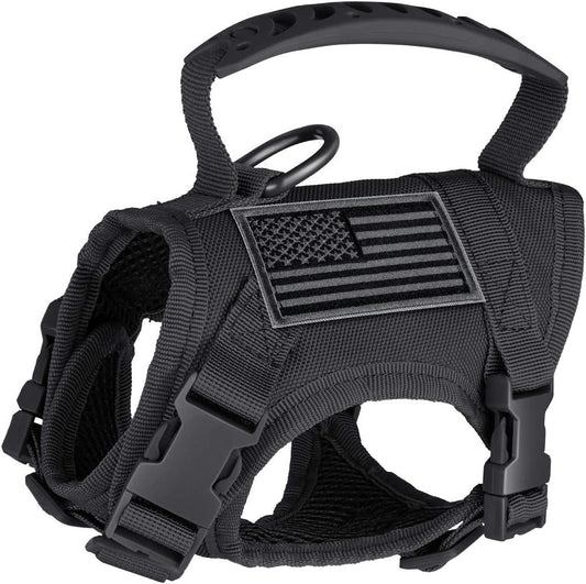 Cat Chest Strap Vest Hand Holding Rope