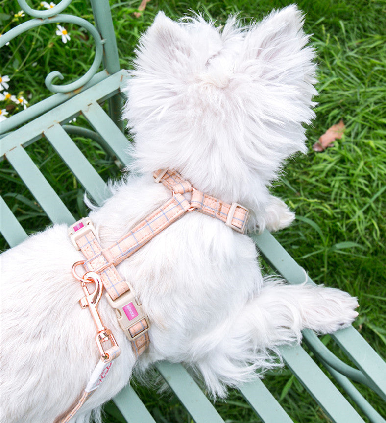 Fashionable And Simple Pet Chest Back Lattice Traction Rope