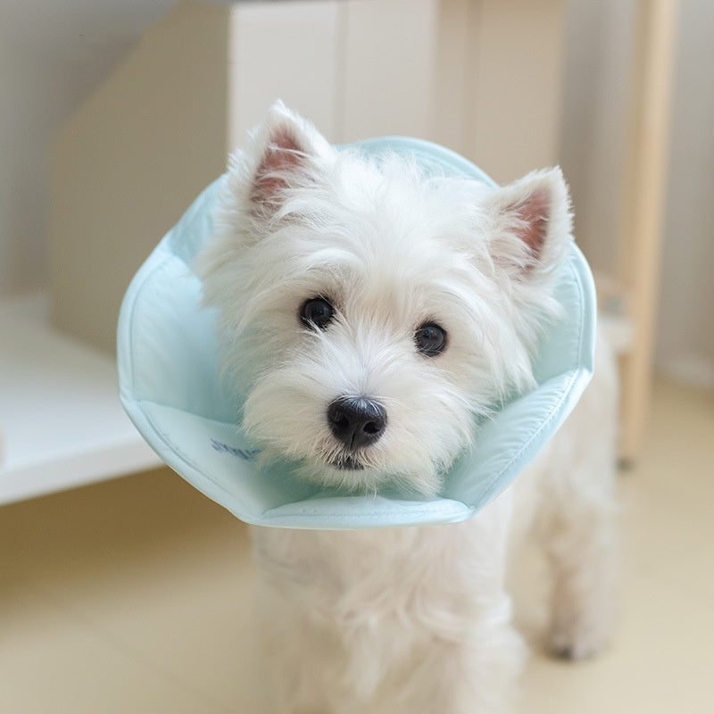 Cat For Common Dogs Waterproof Collar Anti-licking Bite Sterilization Headgear