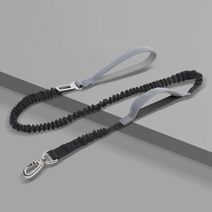 Dog Leash Anti-Burst Reflective Outdoor