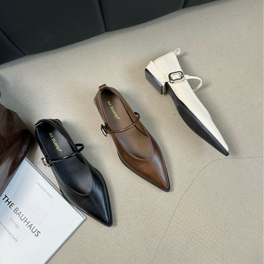 Womens Chunky-Heeled French-Style Retro Pointed-Toe Brown Mary Jane Shoes