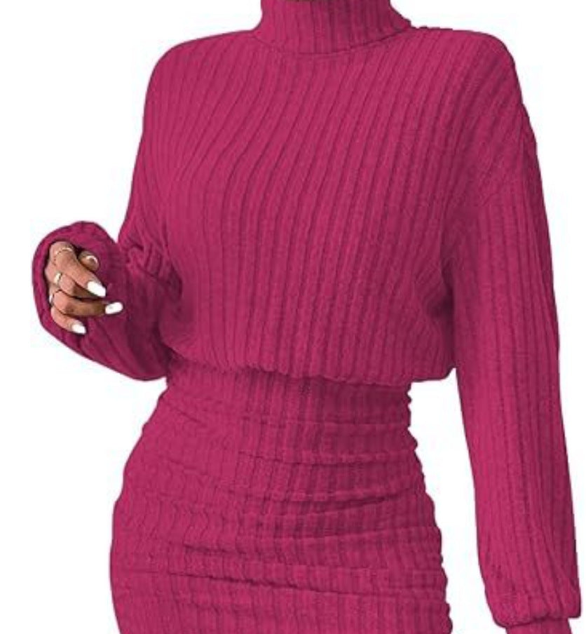 Hug-hem Long-sleeve Turtleneck Skirt Rib-knit Dress