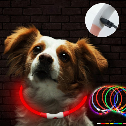 Dog Luminous Collar USB Charging