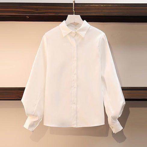 Slim-fit Slimming Dress Fashion Shirt Two-piece Set