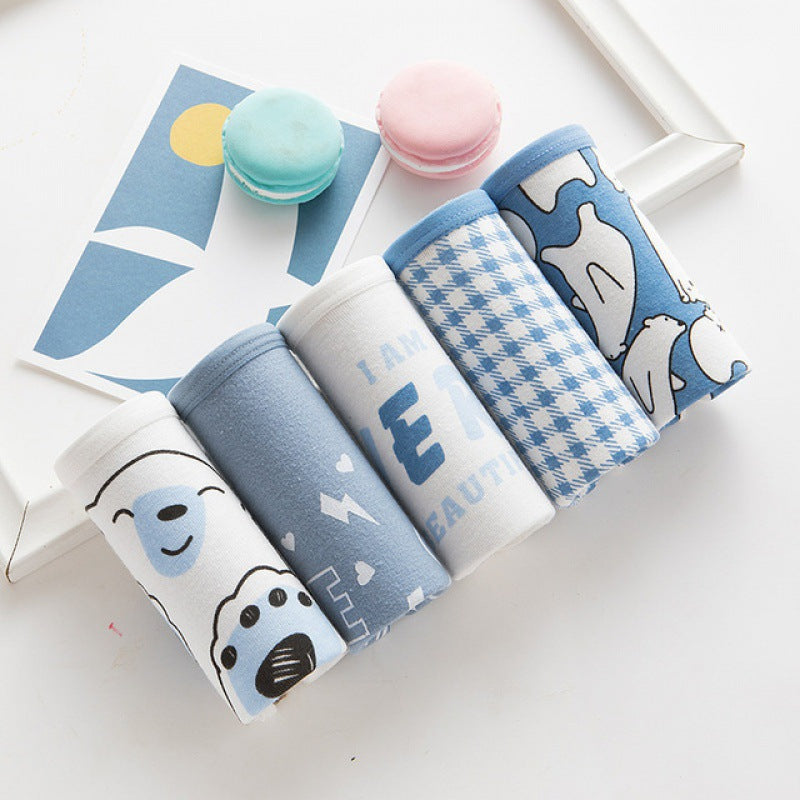 Cotton 5 Strips Of Playful Blue Bear Shorts