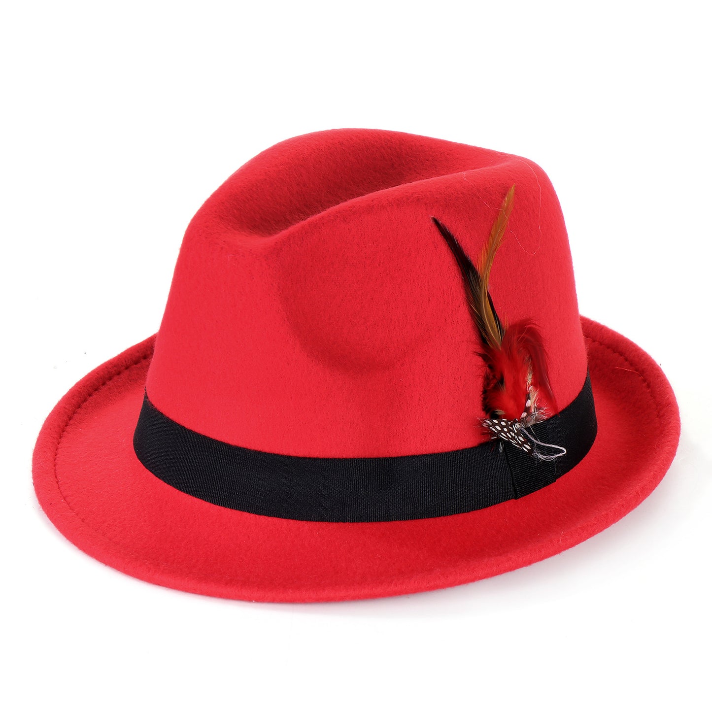 Fashion Men's And Women's Woolen Feather Hat