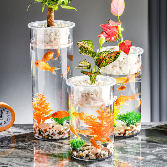 Living Room Micro Landscape Desktop Ecological Pot Transparent Plastic Creative Decoration Fish Tank