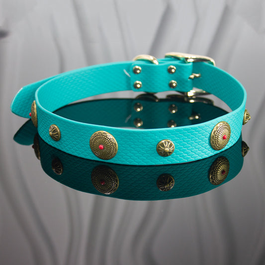 New Encapsulization Webbing Dog Collar Washable And Easy To Clean