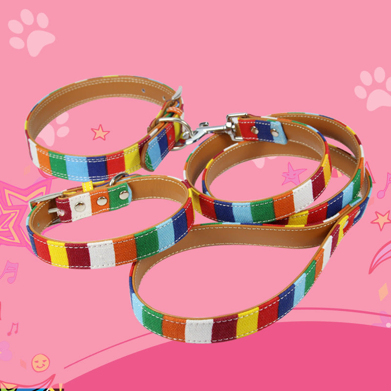 Colorful Pet Dog Collar With Traction Rope