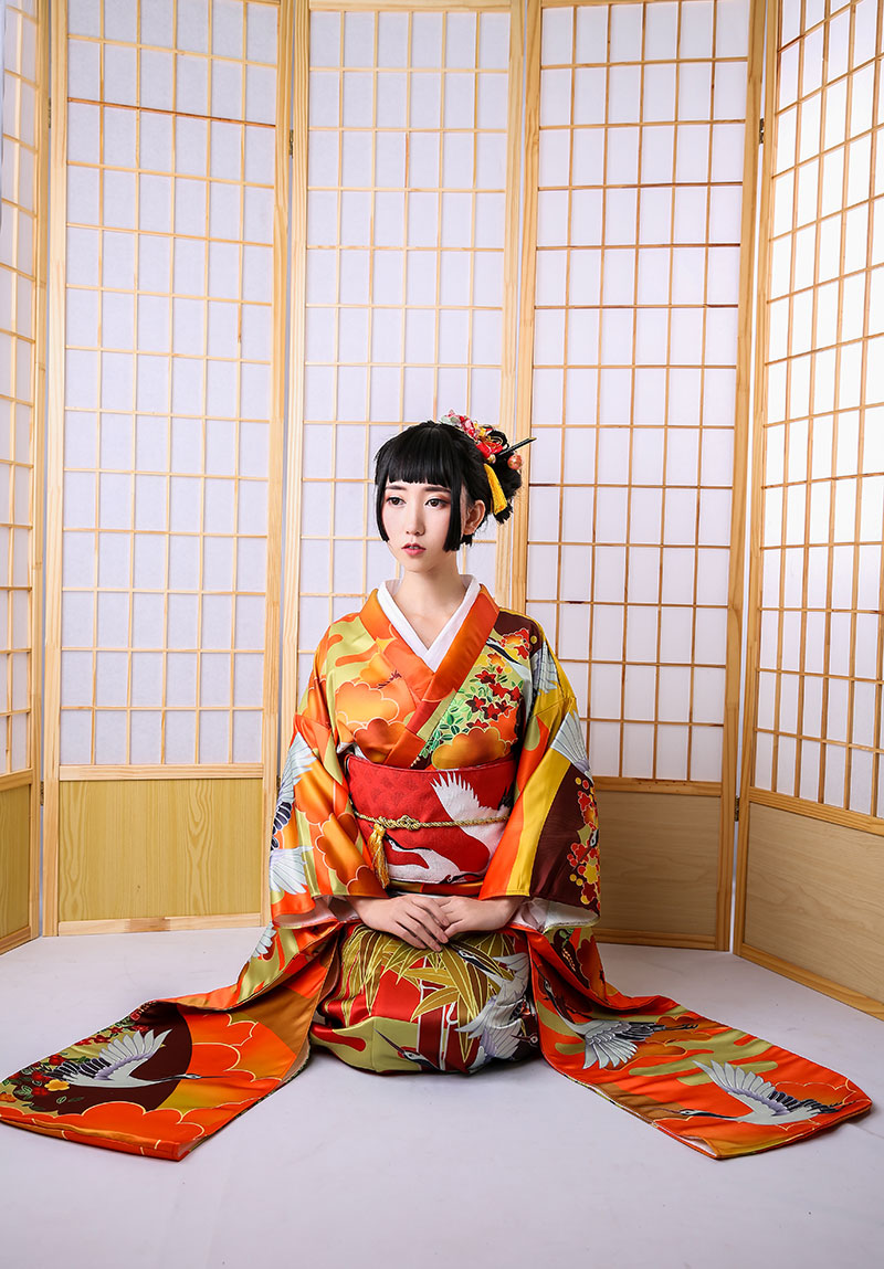 Auspicious Clouds And Cranes Jinxiutu Kimono Formal Dress