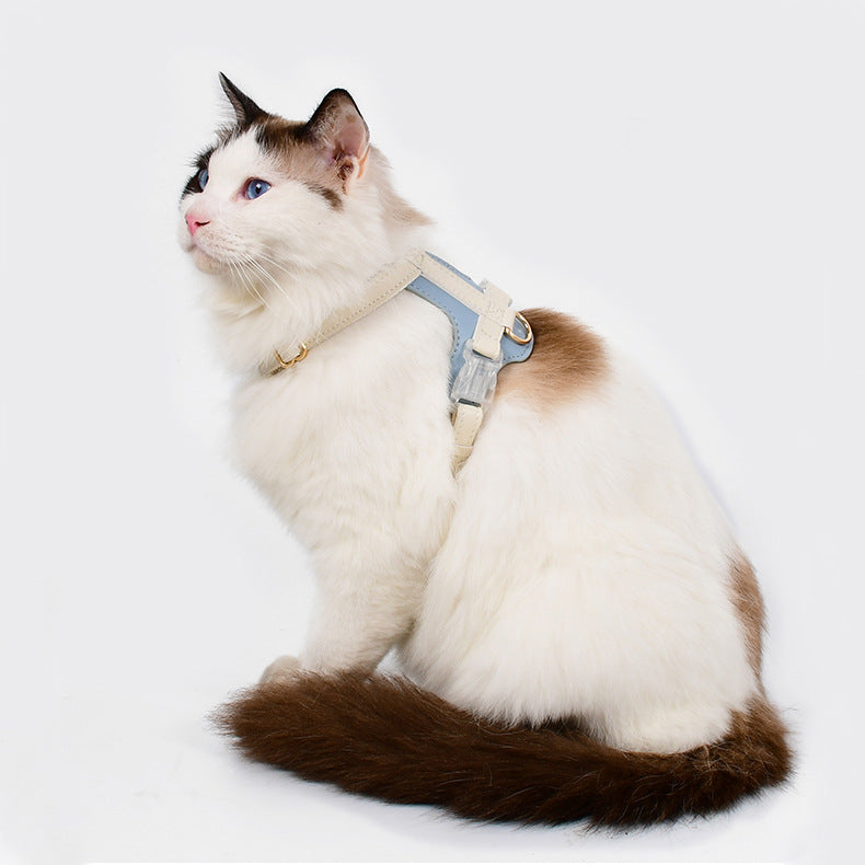 Dog And Cat Harnesses And Leashes For Walking