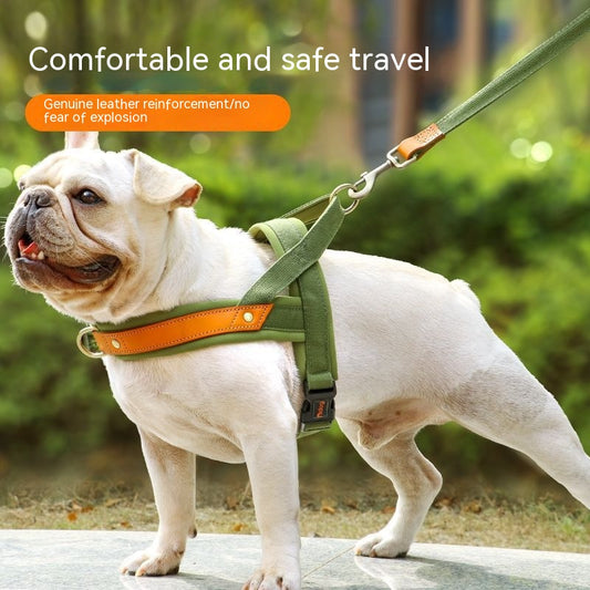 Hundeseler Hundebrystseler Håndholdt Reb Vest-stil Jarre Aero Bulldog Snor