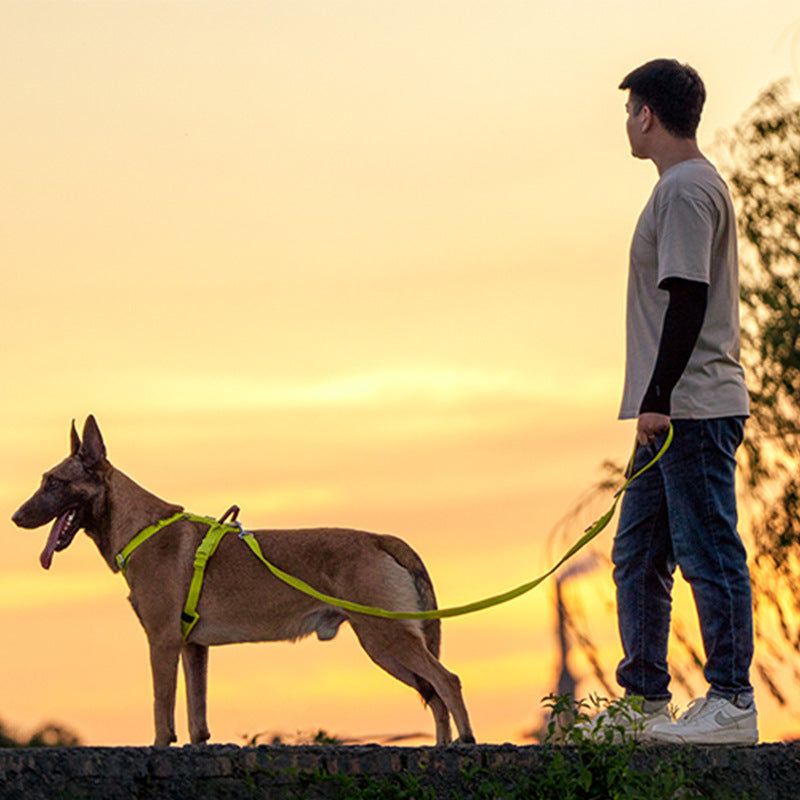 Medium And Large Breed Dogs Hand-held Dog Leash And Harness