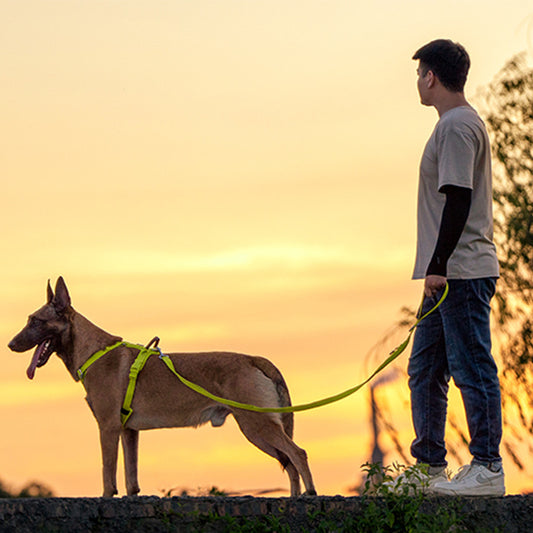 Medium And Large Breed Dogs Hand-held Dog Leash And Harness
