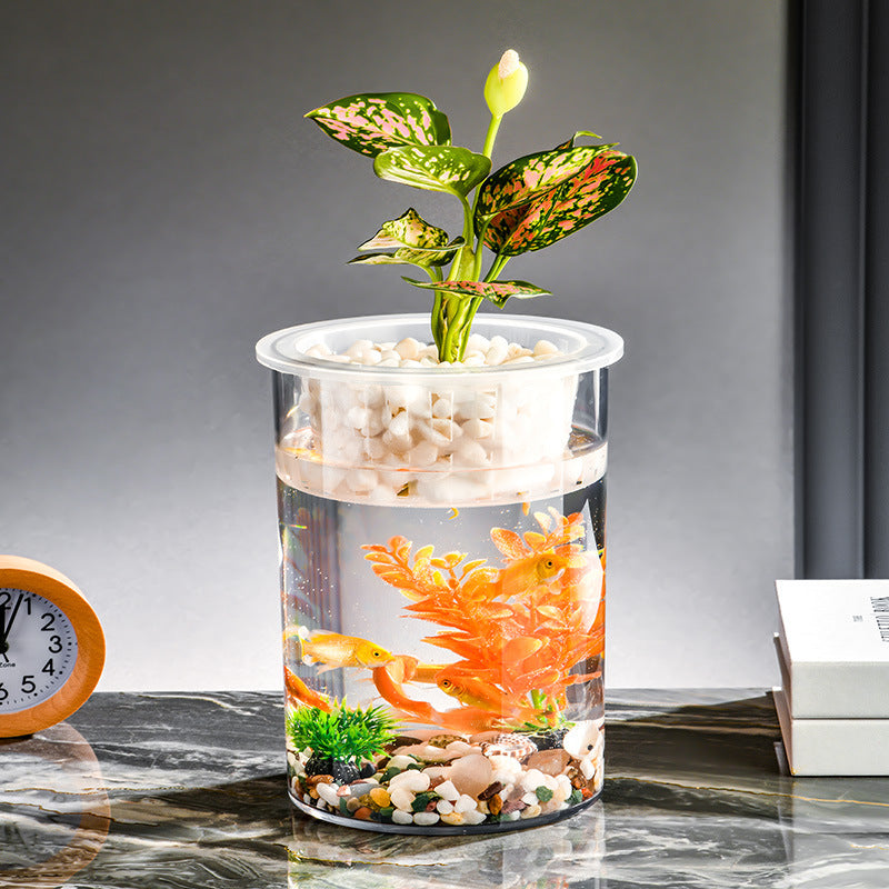 Living Room Micro Landscape Desktop Ecological Pot Transparent Plastic Creative Decoration Fish Tank