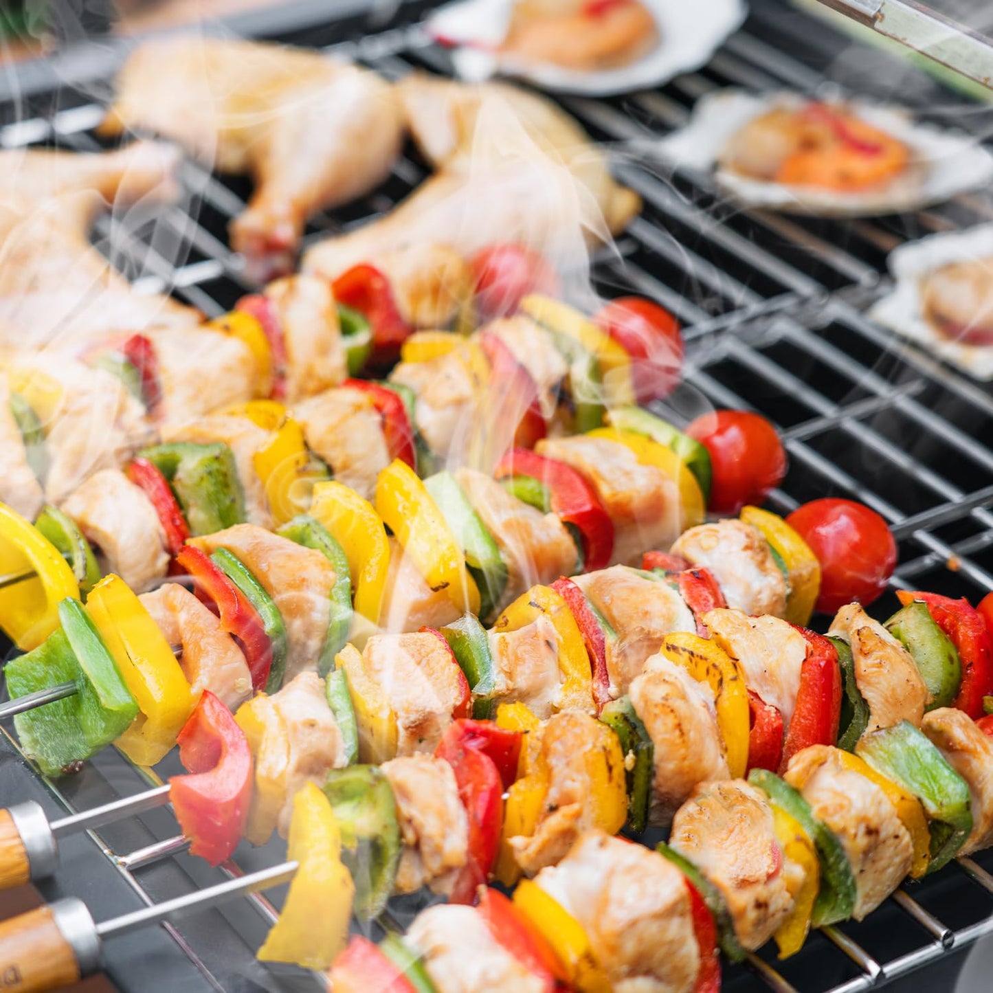 Charcoal Barbecue Outdoor Grill Foldable