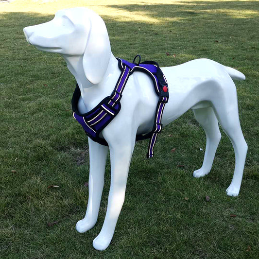Hundetrukket brystsele med snorvest