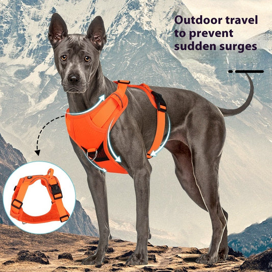 Dog Hand Holding Rope Vest Reflective