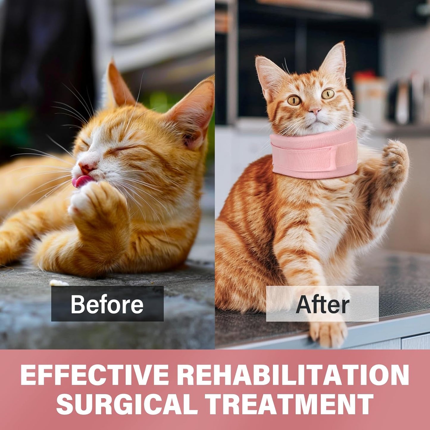 Cat Cone Collar Neck Brace Cat Dog After Surgery Recover Collar Soft Cat Cone Collar Provide Powerful Support For The Neck