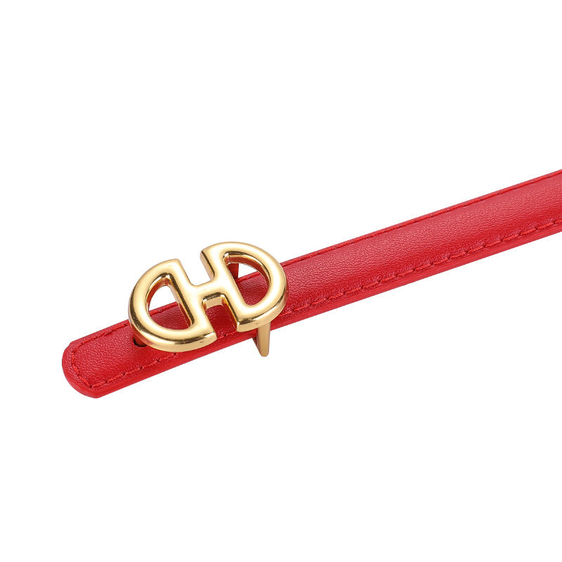 Women's Fashion Simple Decorative Casual Belt