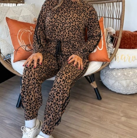 Brown Striped Design Leopard Print Long Sleeve Top Drawstring Pants Suit