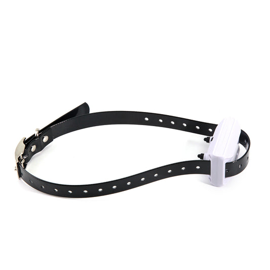 Pet wireless electronic fence