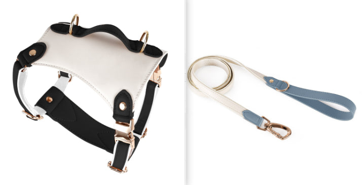 Leather Pet Vest Type Lead Rope Chest Strap