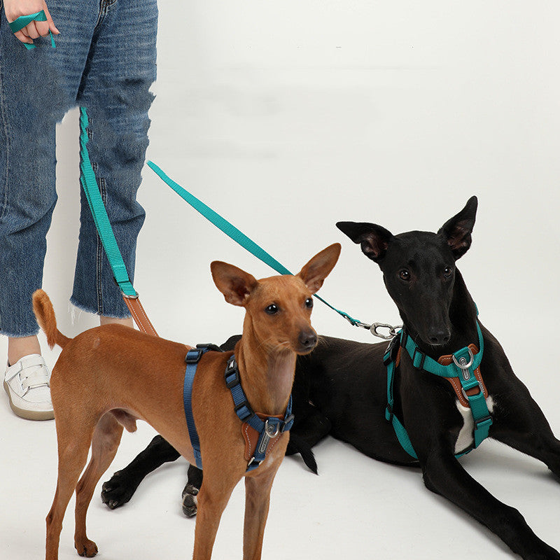 Hundesnor Eksplosionssikker Hvalpetype